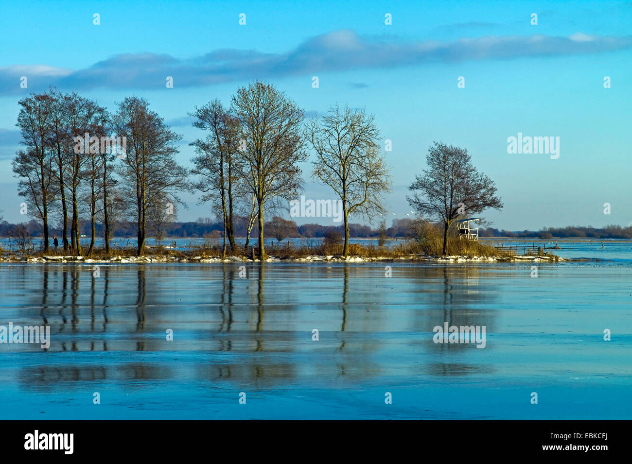 icy meadows at river Wuemme at Bremen-Borgfeld, Germany, Bremen Stock Photo