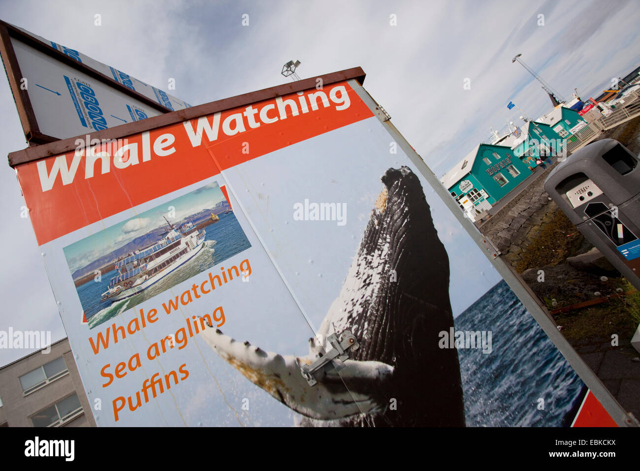 Promotions for whale and seabird watching tours, Iceland, Reykjavik Stock Photo