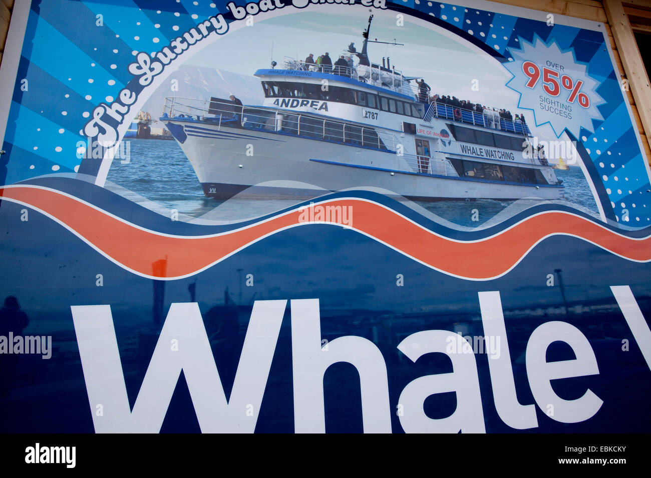 Commercial whale watching boat hi-res stock photography and images - Alamy