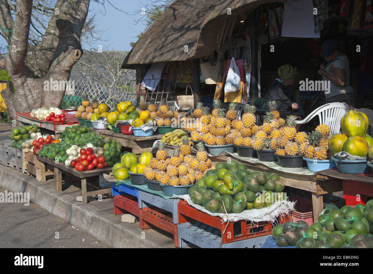 Fruit And Veg Market South Africa at Getkallieblog Blog