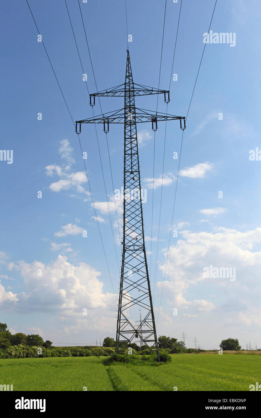 electricity pylon, Germany Stock Photo