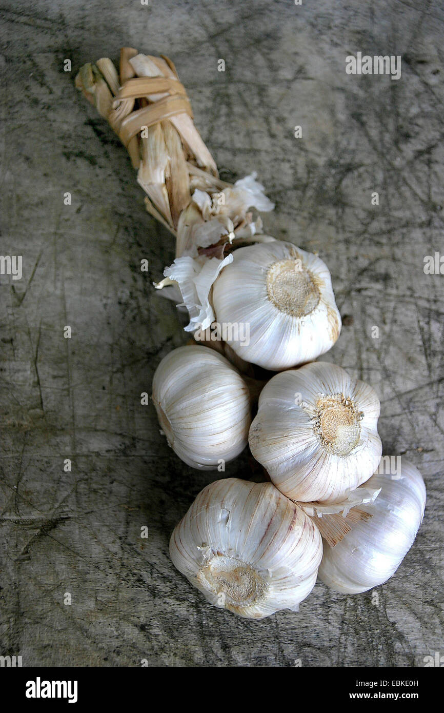 common garlic (Allium sativum), plait of garlic Stock Photo