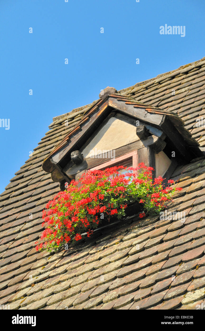 Hotel Schiefes Haus in Fischerviertel, Germany, Baden-Wuerttemberg, Ulm Stock Photo