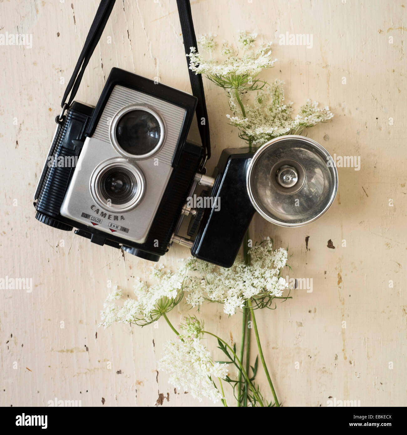 Studio shot of antique camera with flowers Stock Photo