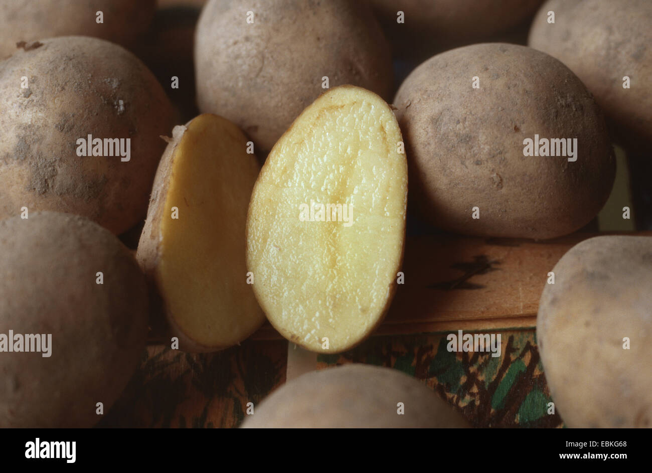 potato (Solanum tuberosum Linda), cultivar Linda Stock Photo
