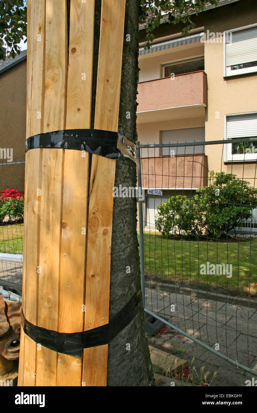 tree protection in a building lot, Germany, North Rhine-Westphalia Stock Photo