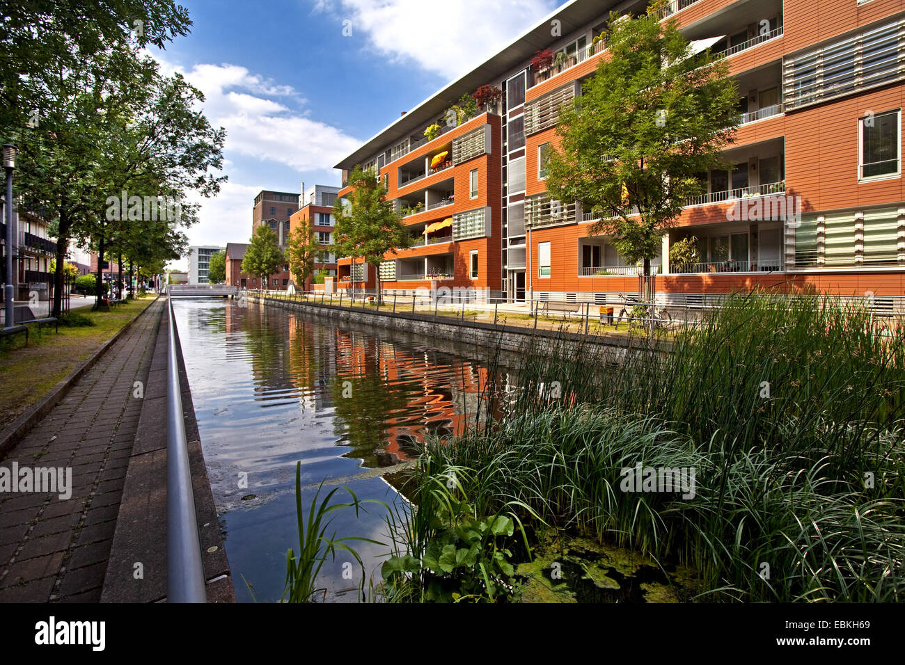 residential buildings in inner harbour, Germany, North Rhine-Westphalia, Ruhr Area, Duisburg Stock Photo