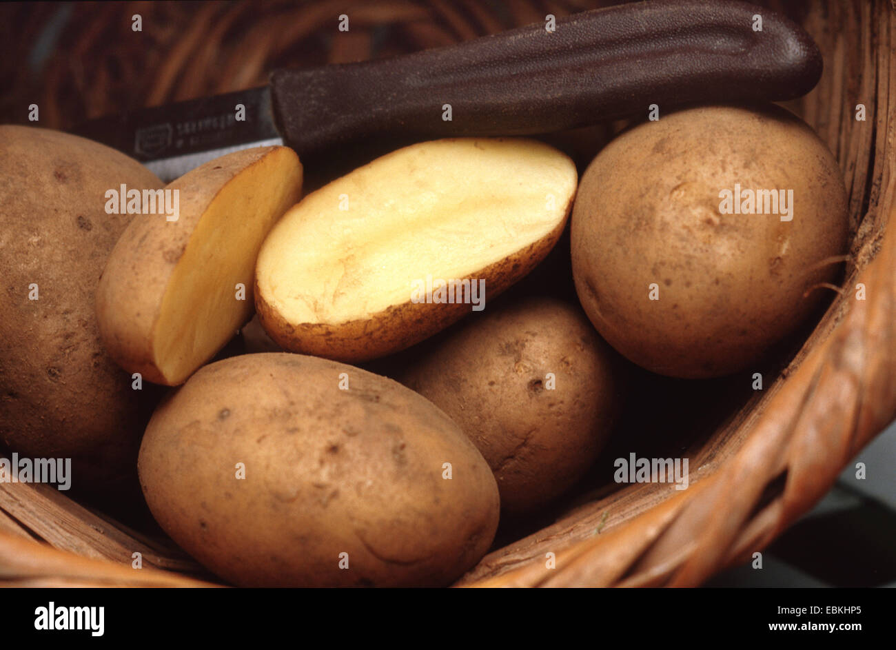 potato (Solanum tuberosum 'Belana', Solanum tuberosum Belana), cultivar Belana, waxy potato, in a baslet Stock Photo