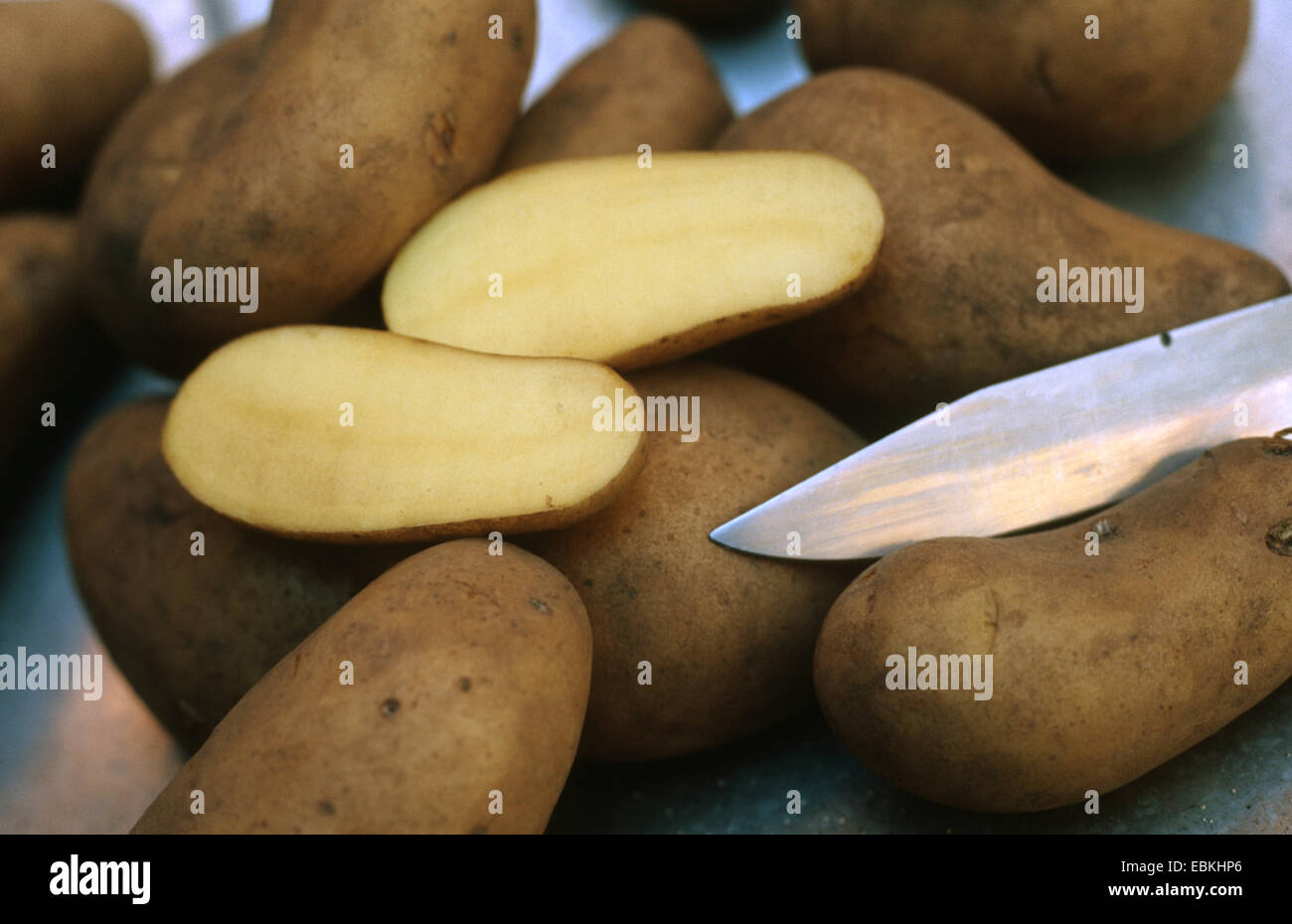 potato (Solanum tuberosum 'Allians', Solanum tuberosum Allians), cultivar Allians, waxy potatoes Stock Photo