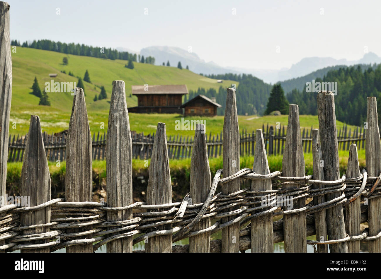 woven wooden fence, Italy Stock Photo
