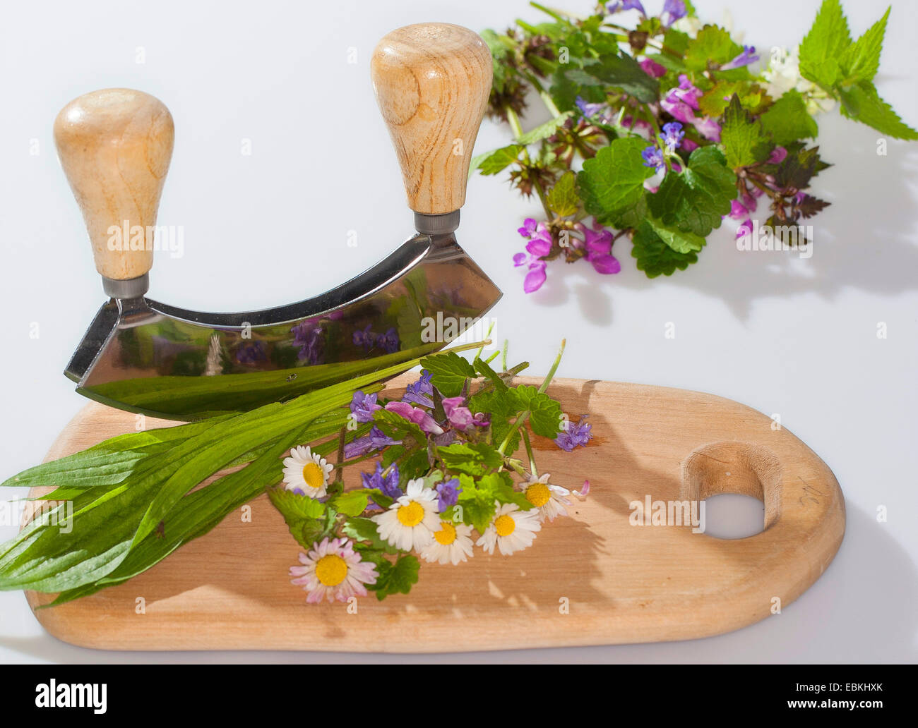 edible wild herbs are cut with a chopper Stock Photo