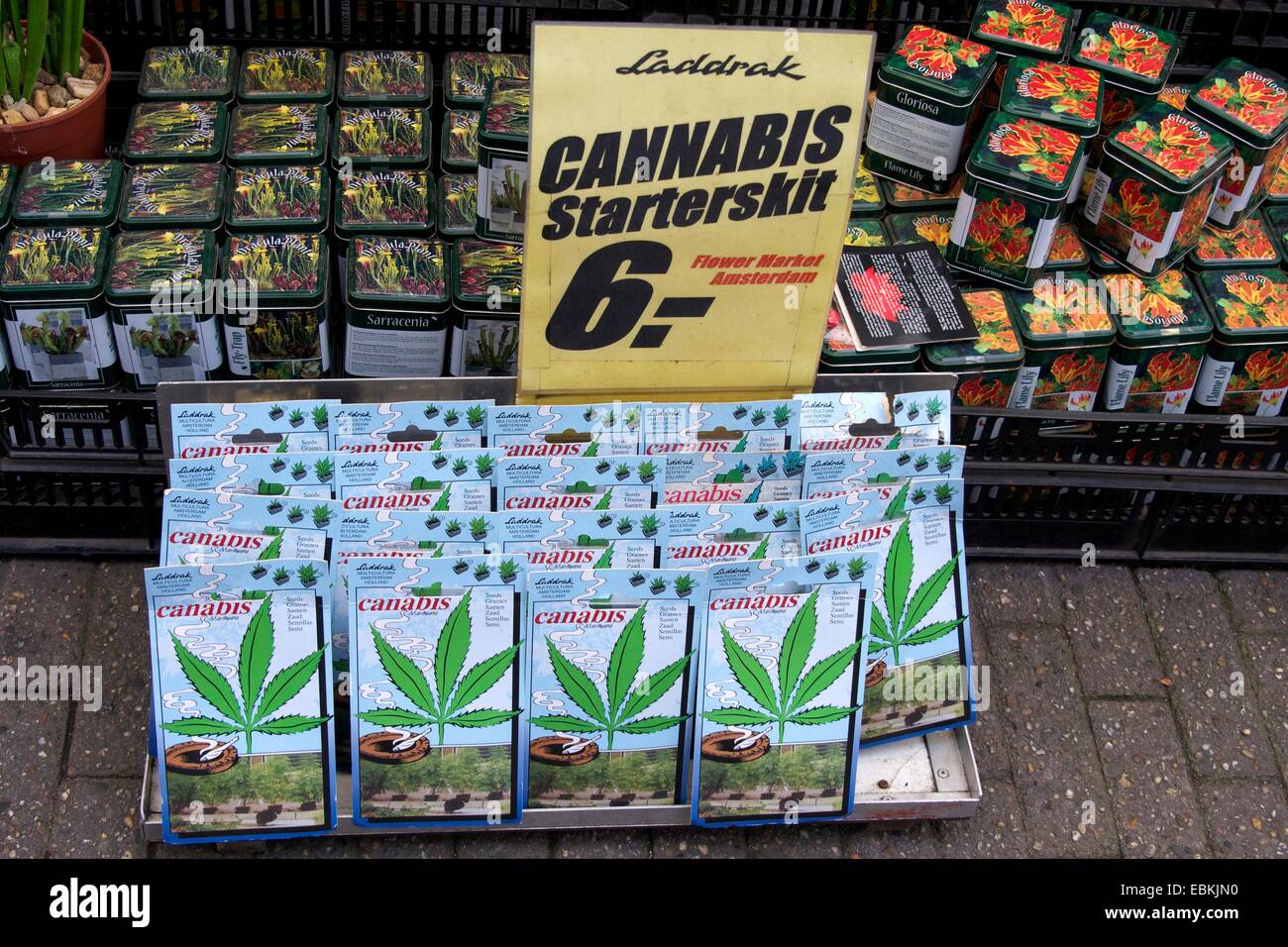 Cannabis Seeds on sale in Amsterdam, Bloemenmarkt, Amsterdam, Netherland, Europe Stock Photo