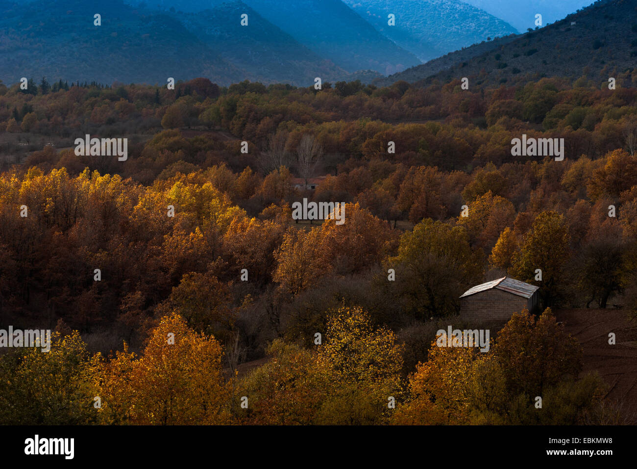 Autumn colors at Dara's plain. Arcadia, Peloponnese, Greece Stock Photo