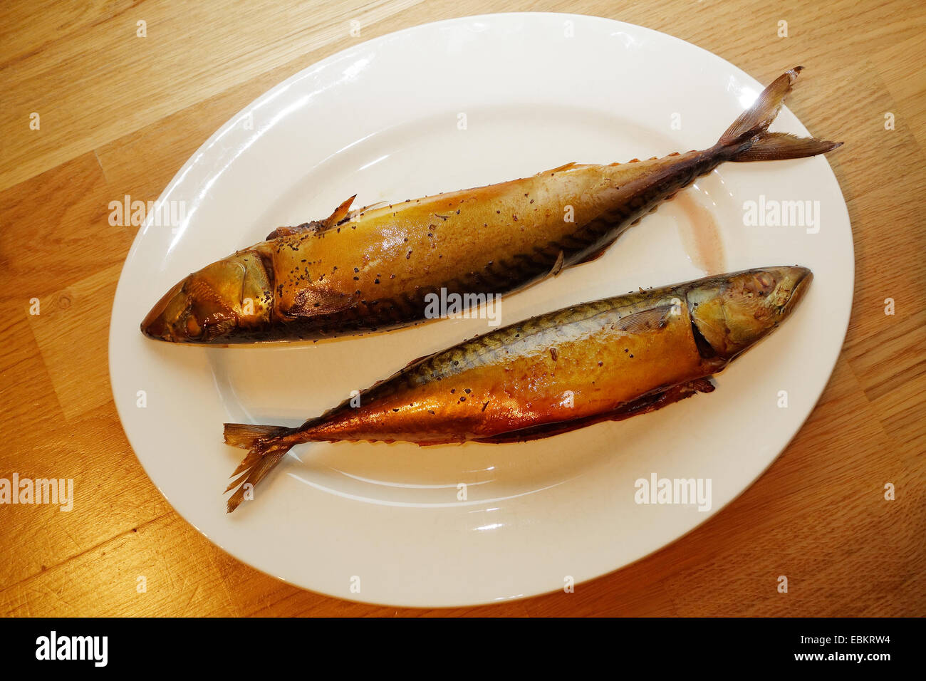 Smoke cooked fish Atlantic mackerel on a white platter Stock Photo Alamy