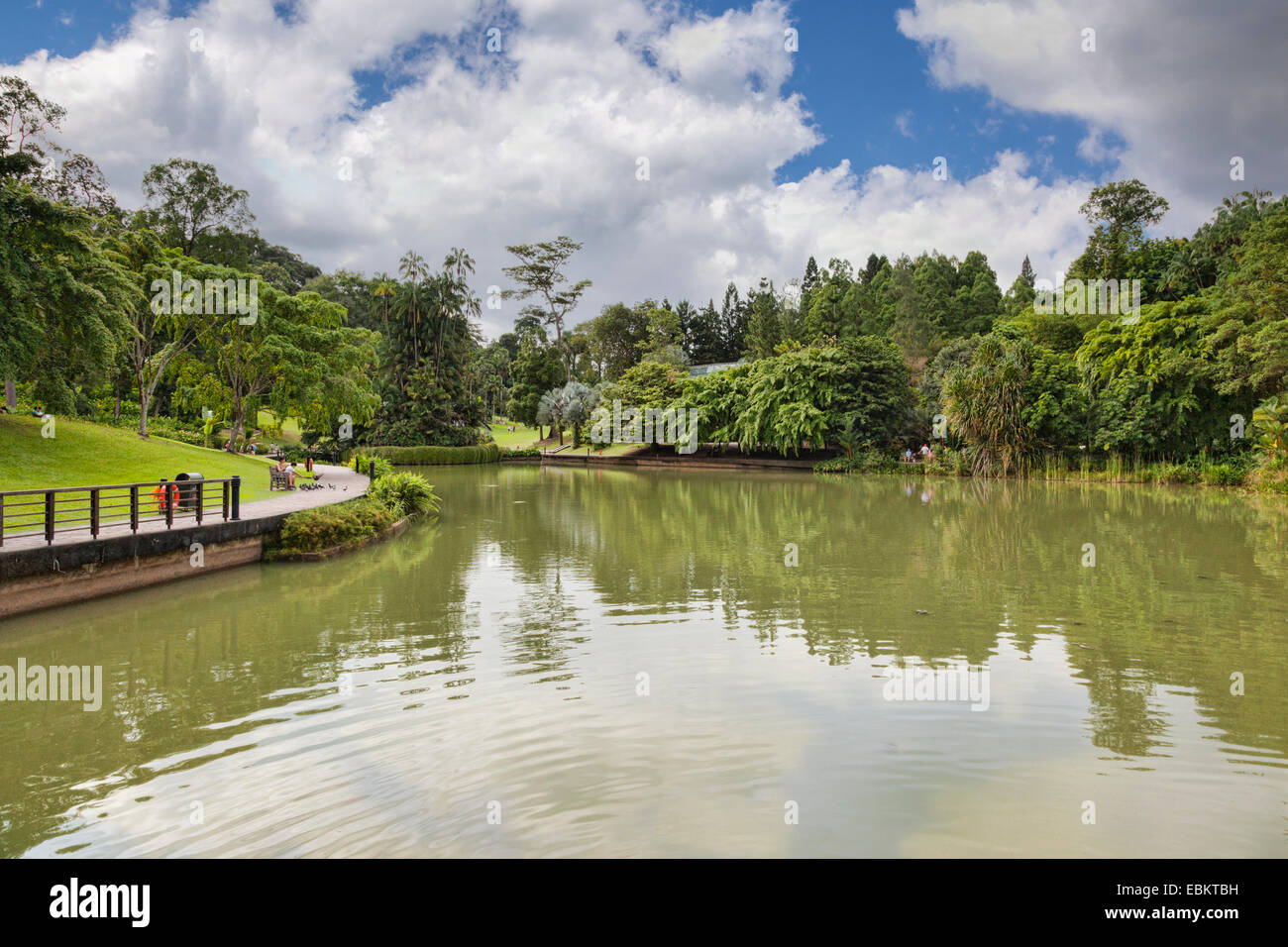 Singapore Botanic Gardens, Symphony Lake Stock Photo