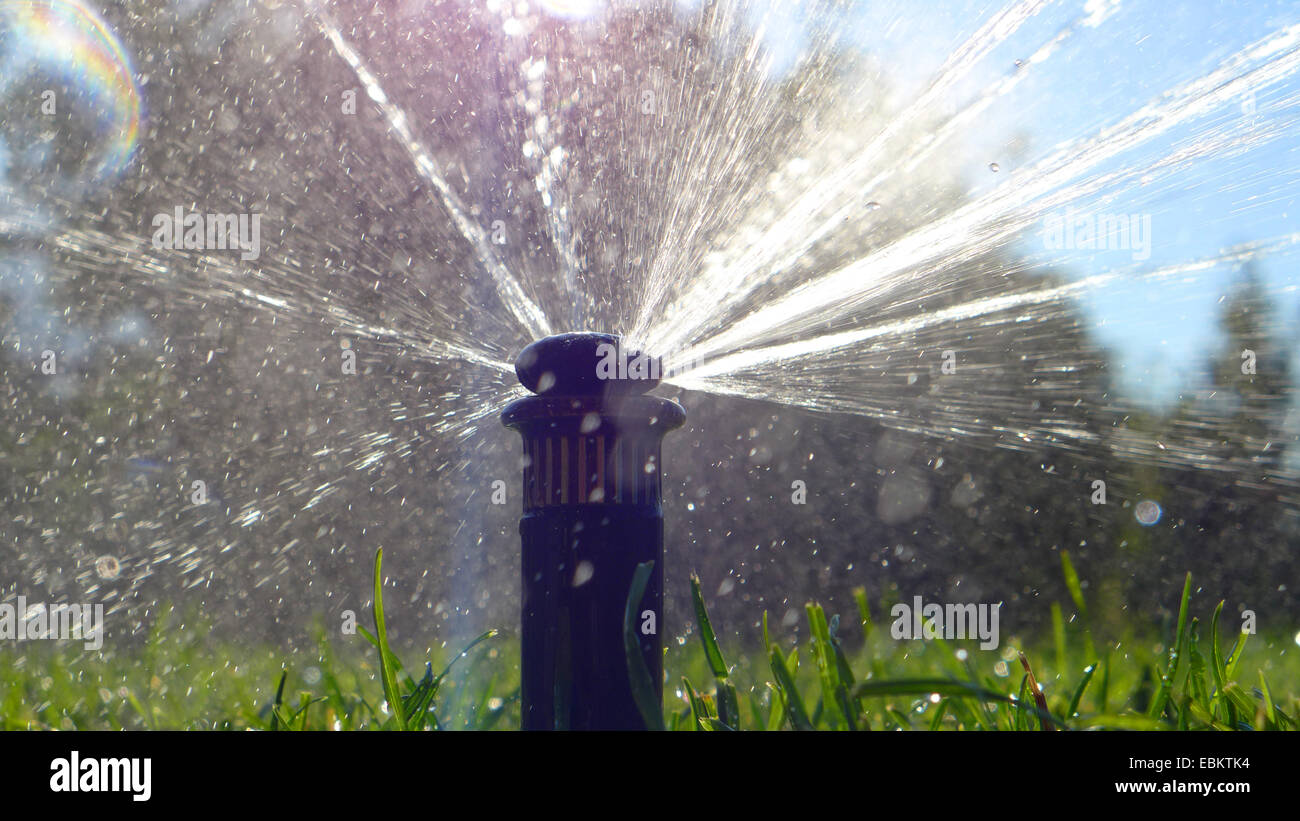 spray irrigation on a lawn, Germany Stock Photo Alamy