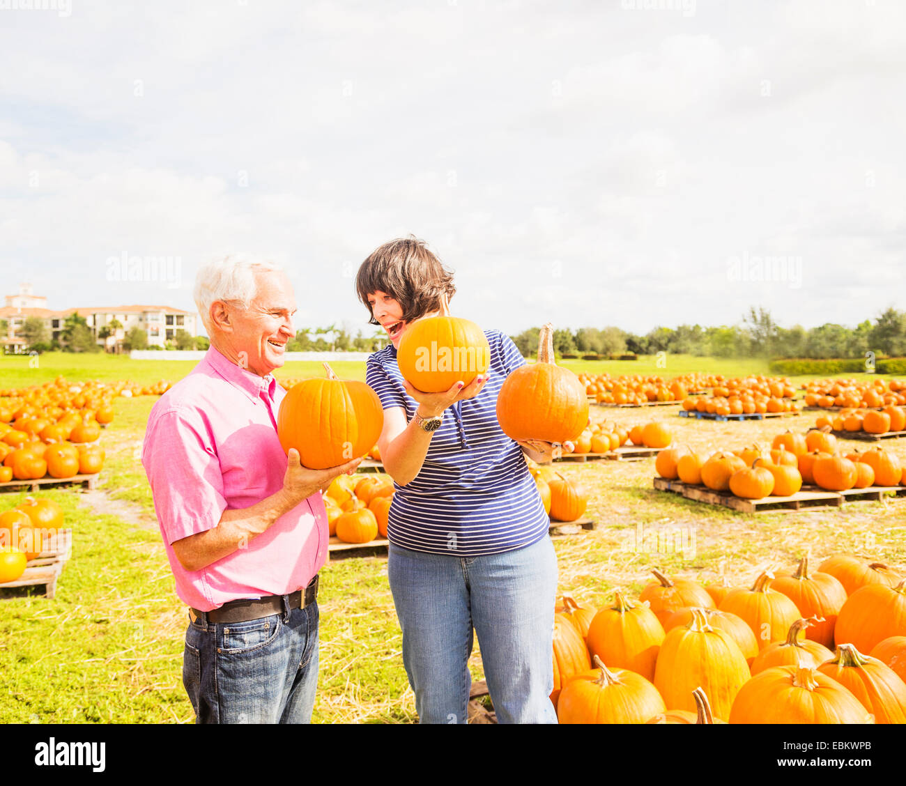USA, Florida, Jupiter, Couple talking and holding pumpkins Stock Photo
