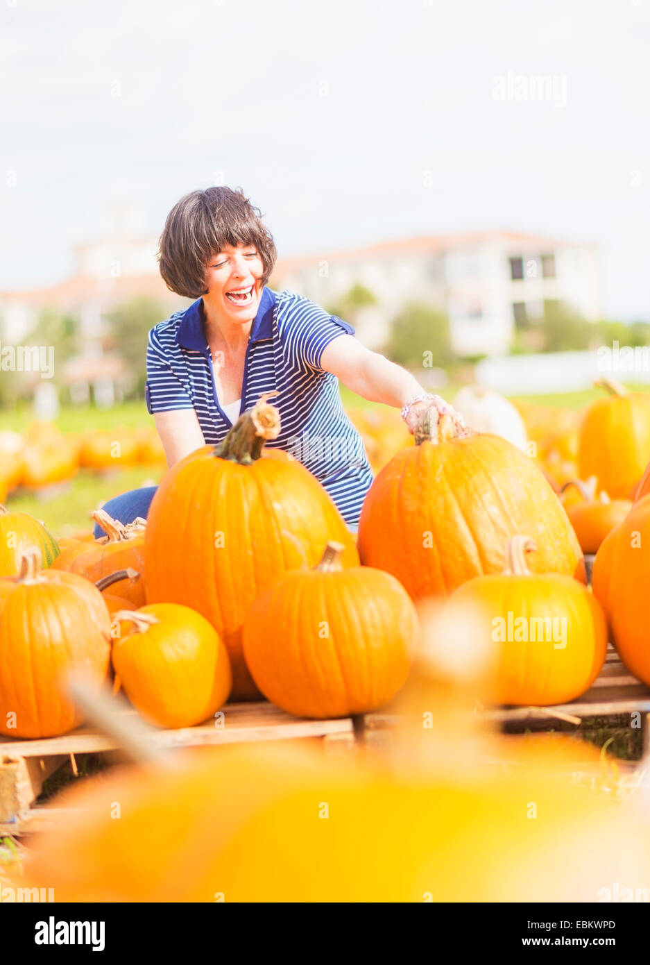 USA, Florida, Jupiter, Mature woman picking up pumpkins Stock Photo