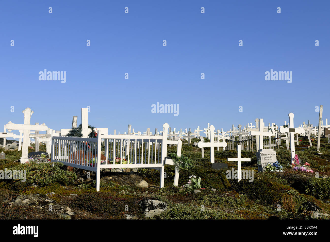 white gave crosses on a cemetery, Greenland, Ilulissat, Disko Bay Stock Photo