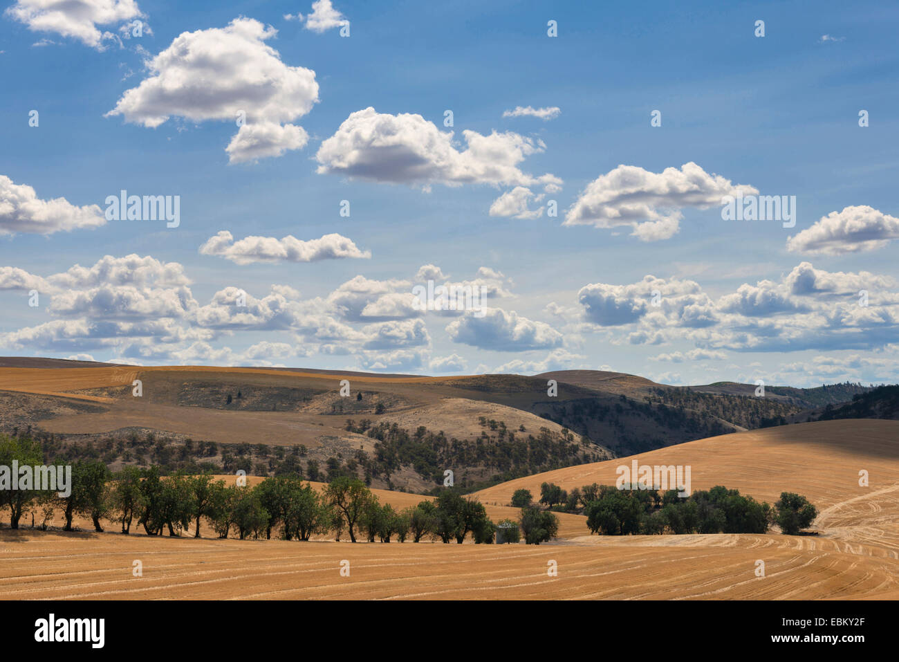 USA, Oregon, Rolling landscape with cloudy sky Stock Photo