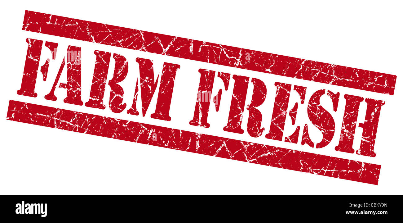 Farm fresh red square grunge textured stamp isolated on white Stock ...