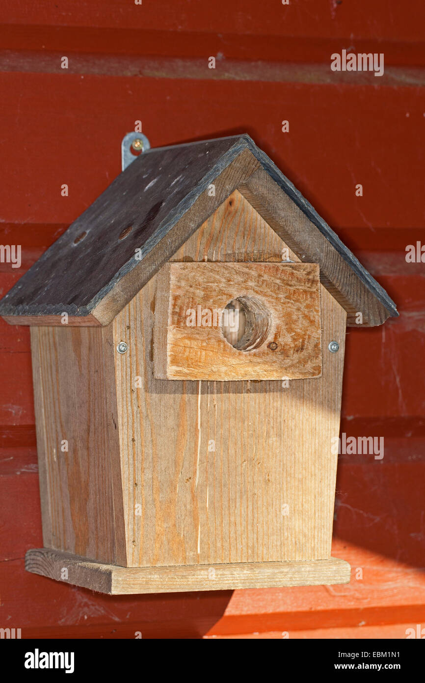 nest box with home-made marten protection, Germany Stock Photo