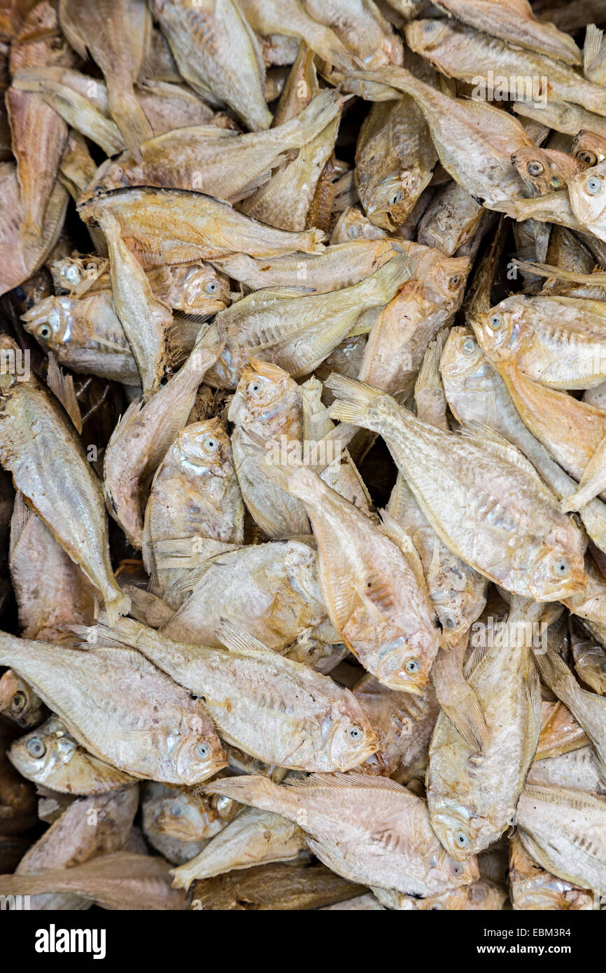 Dried fish on sale in market, Miri, Malaysia Stock Photo