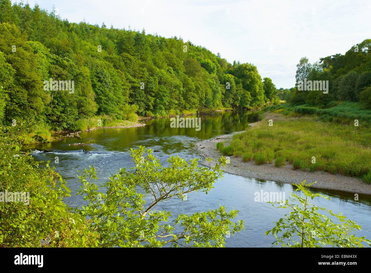 River Eden. Eden Lacy, Eden Valley, Cumbria, England, UK Stock Photo