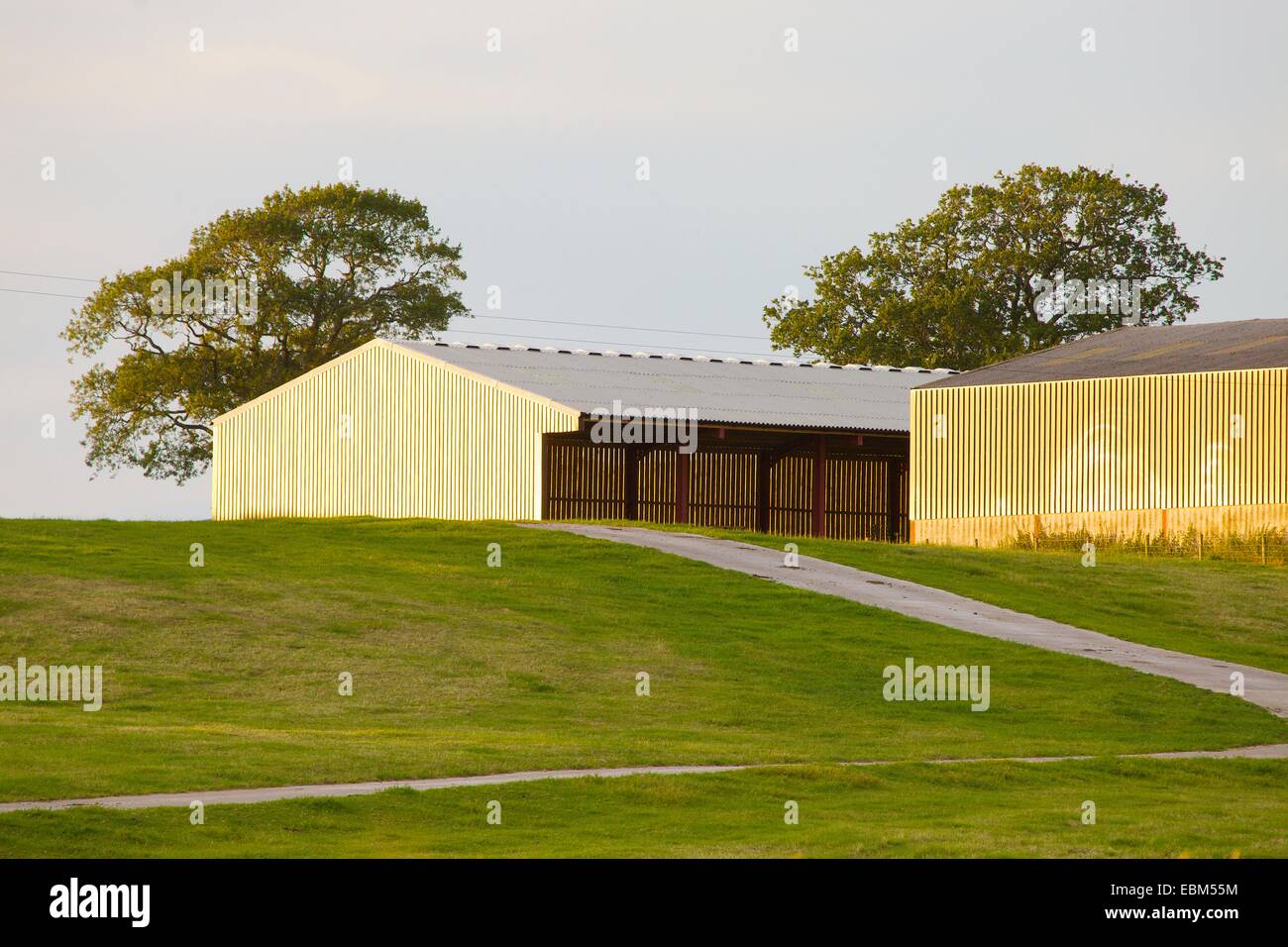 Modern agricultural buildings. Eden Valley, Cumbria, England, UK Stock