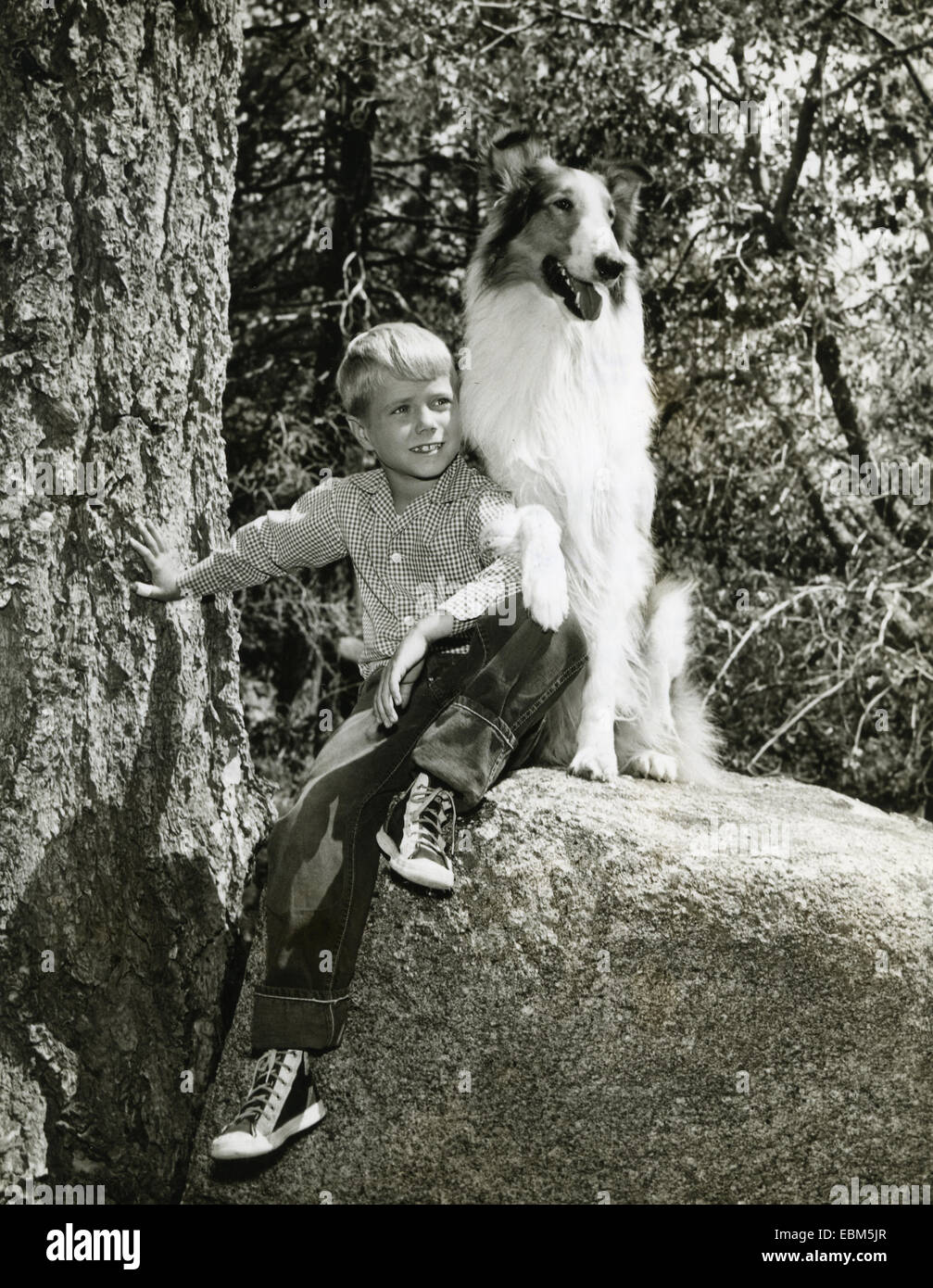 LASSIE US  CBS TV series with Jon Provost as Timmy in 1957 Stock Photo