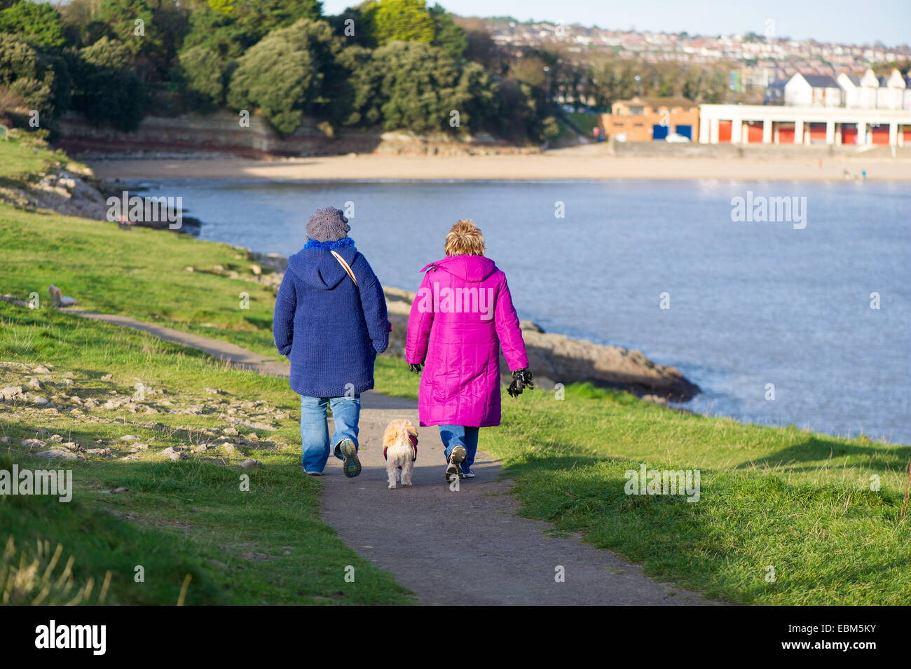 Women with a dog hi-res stock photography and images - Alamy