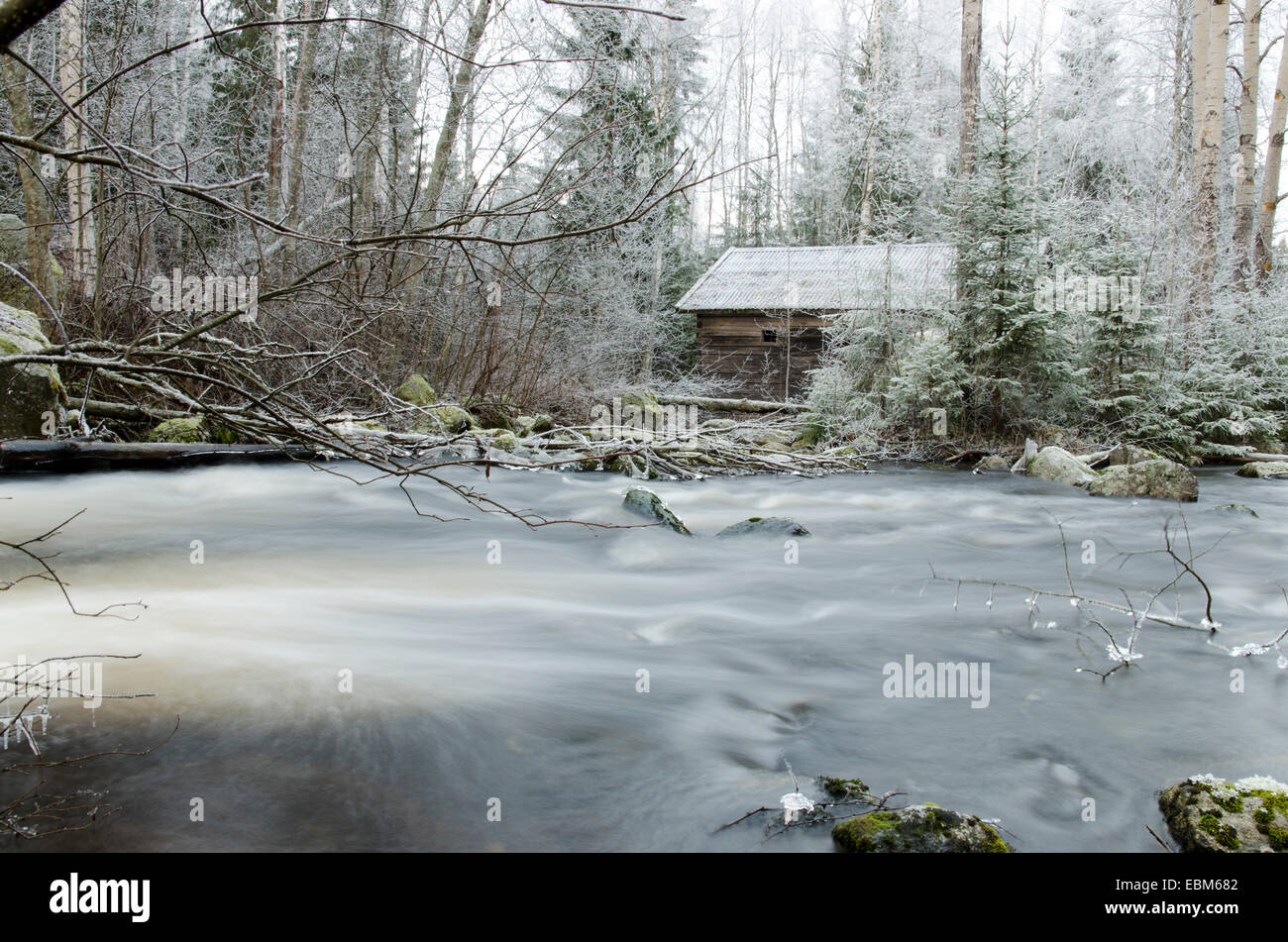 Little house in the forest with a little river in front Stock Photo - Alamy