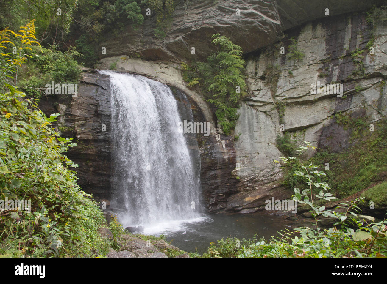 Beautiful, scenic Looking Glass Falls hidden in the rocky forests of the Appalachian Mountains in summer Stock Photo