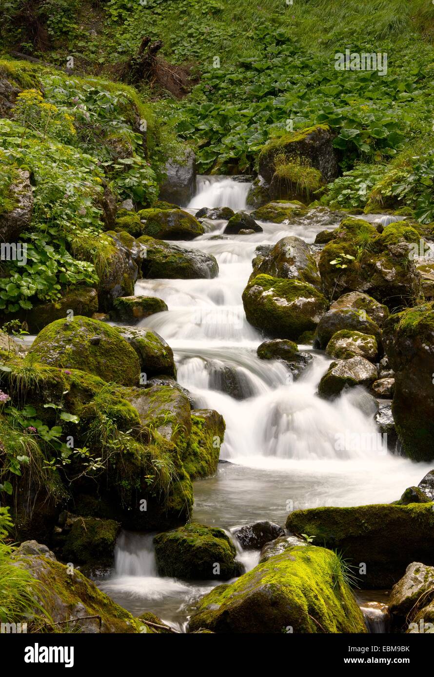 Close up small mountain waterfall hi-res stock photography and images ...