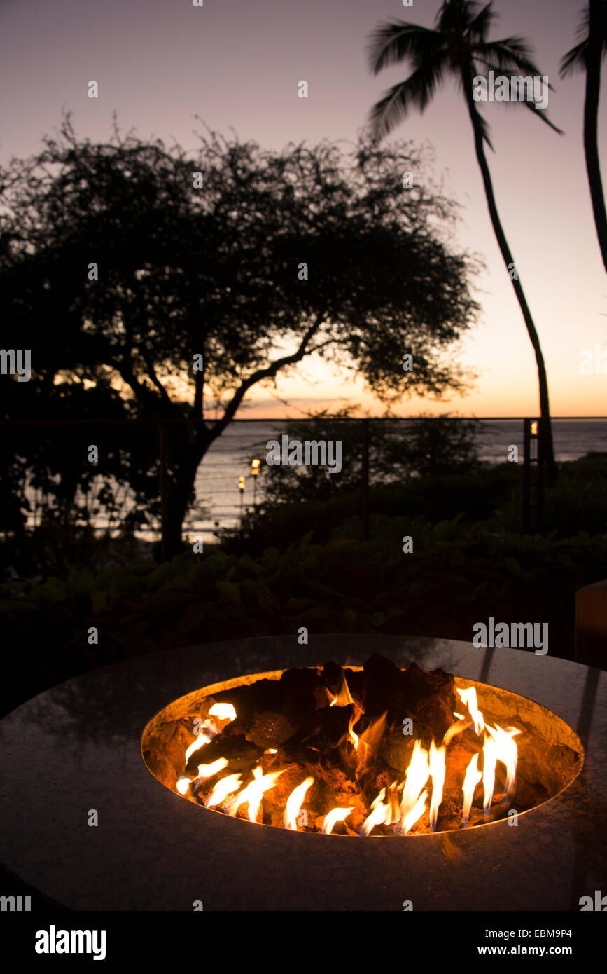 Flames From Fire Pit And Silhouetted Palm Trees Overlooking