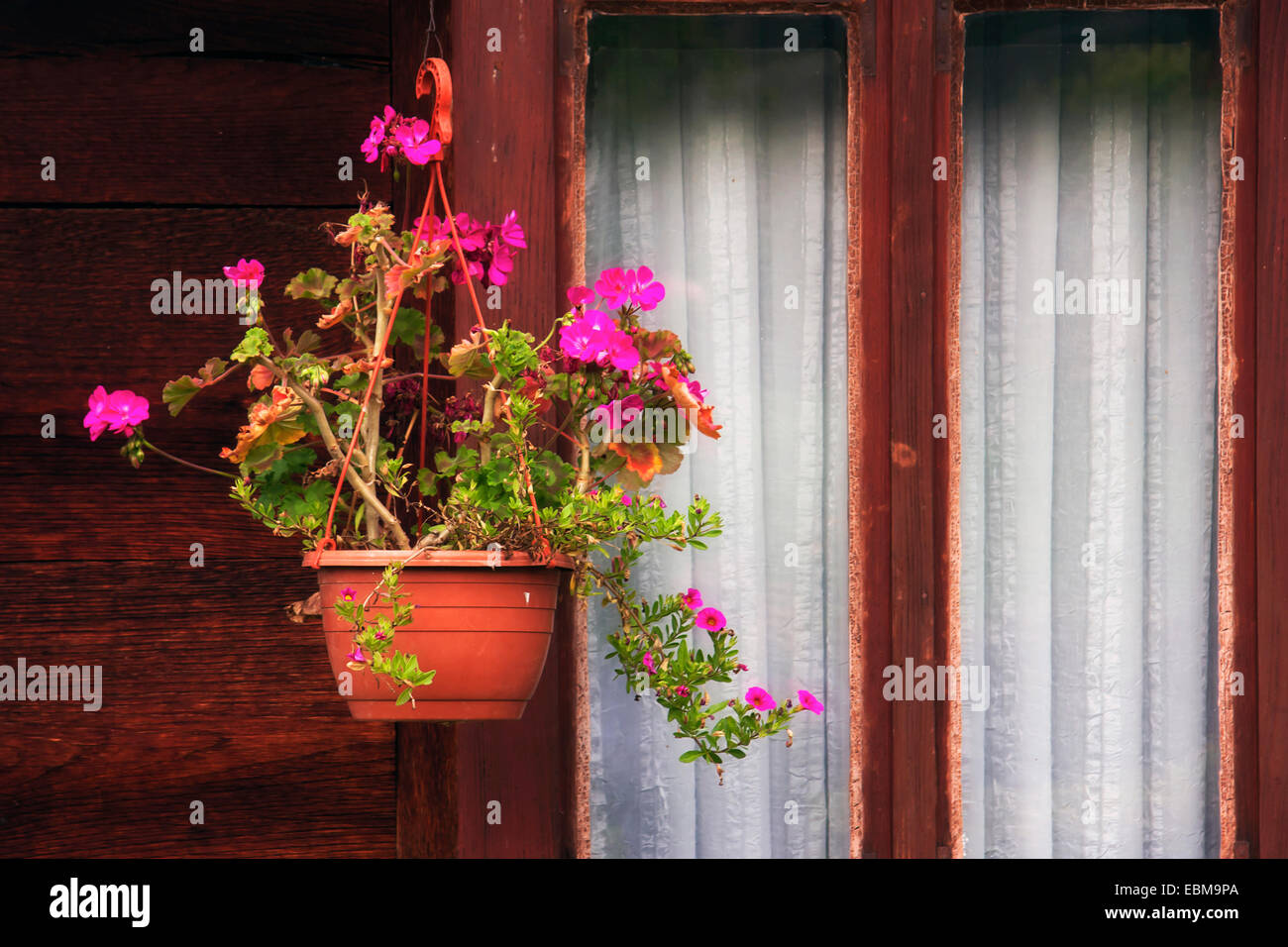 Flower pot hanging by the window of the wooden house Stock Photo - Alamy