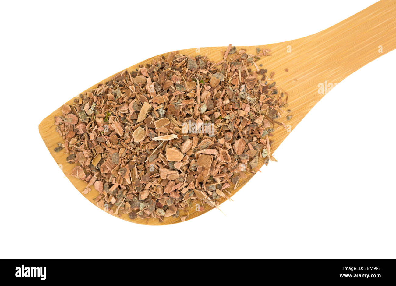 Top view of a wood spoon filled with witch hazel bark on a white background. Stock Photo