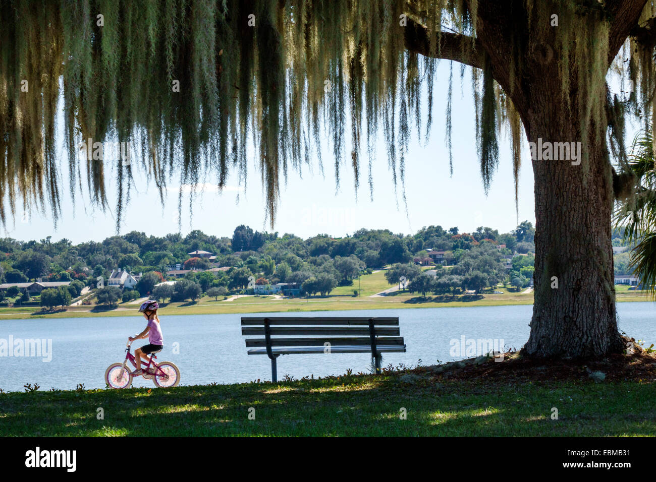 Lake Wales Florida,Lake Wailes,public park,Spanish moss,hanging,girl girls,youngster youngsters youth youths female kid kids child children,riding,bic Stock Photo