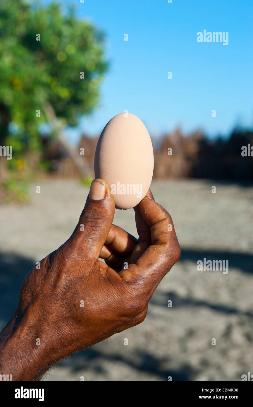 Megapode egg (Megapodiidae), Savo Island, Central Province, Solomon Islands Stock Photo