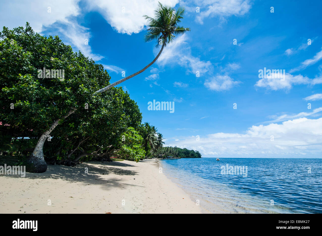 White sand beach and palm trees, Yap Island, Caroline Islands ...