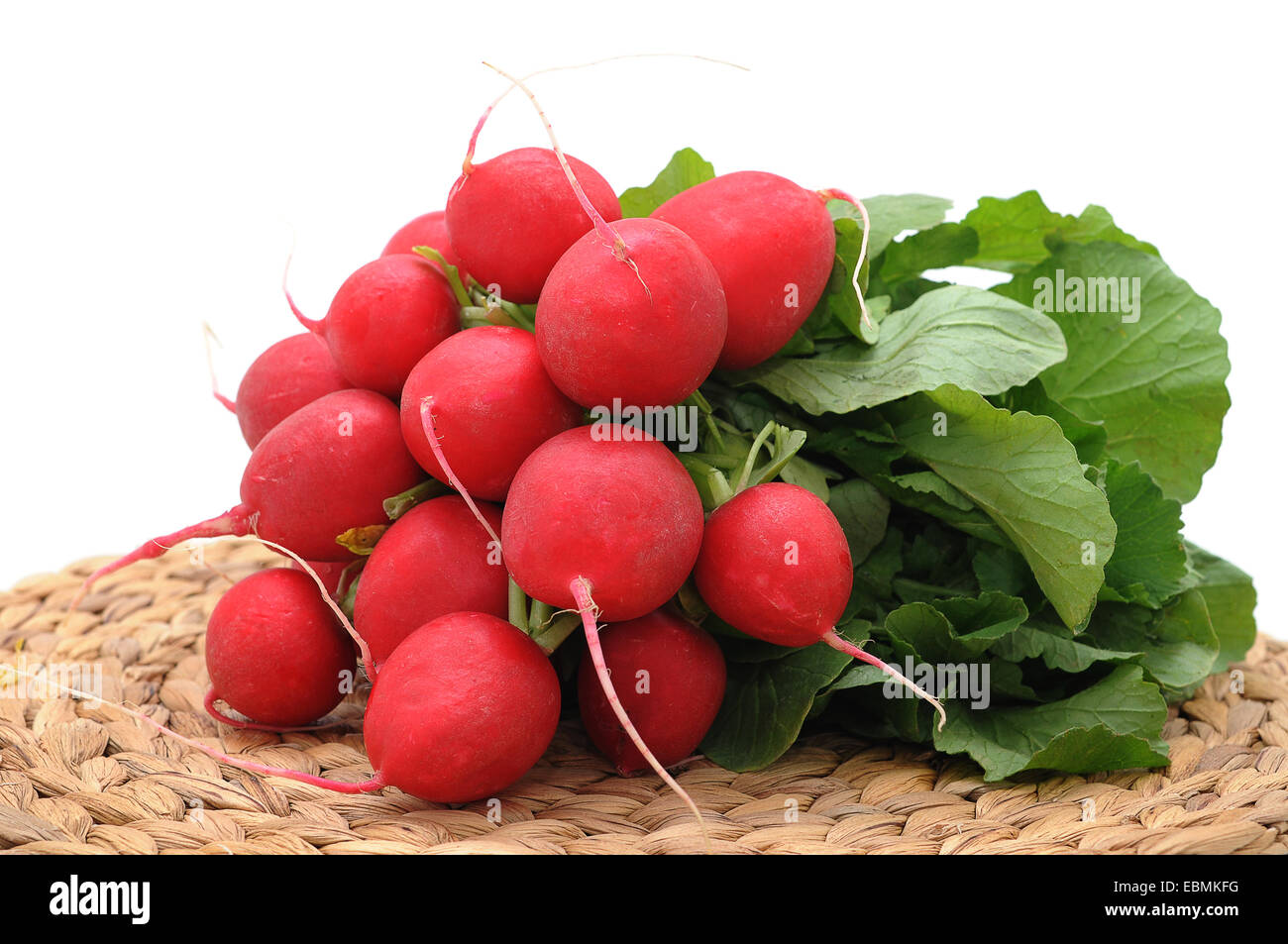 Fresh bunch of radishes, Germany Stock Photo Alamy