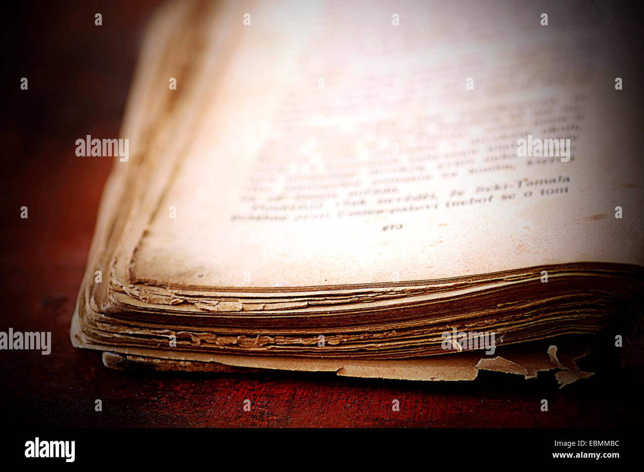 close up of the open pages of an old damaged book Stock Photo