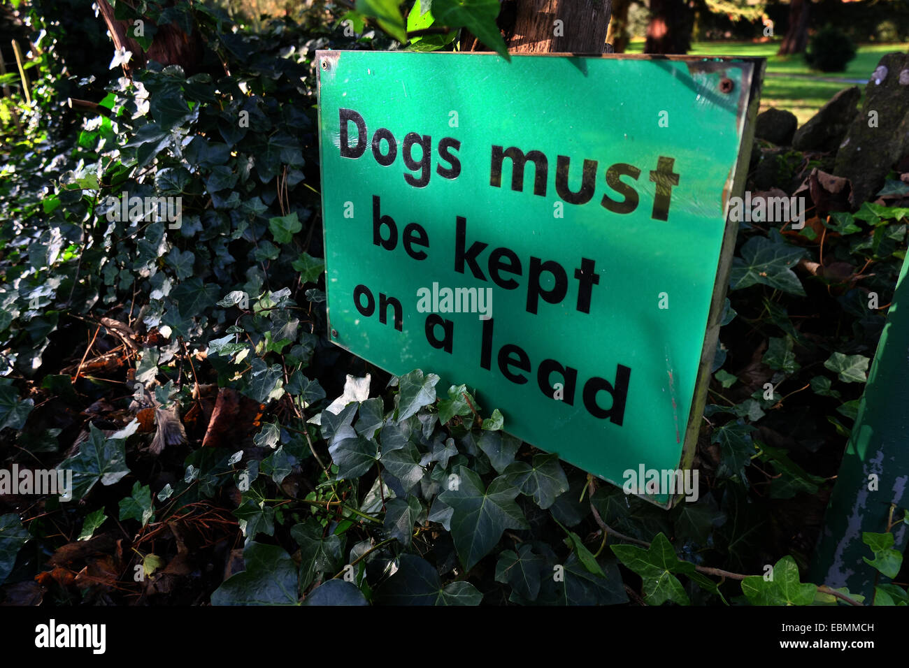 Dogs must be kept on lead sign Stock Photo Alamy