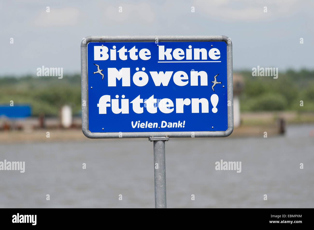 Sign 'Bitte keine Möwen füttern' or 'Please do not feed the seagulls,' Eidersperrwerk, Schleswig-Holstein, Germany Stock Photo