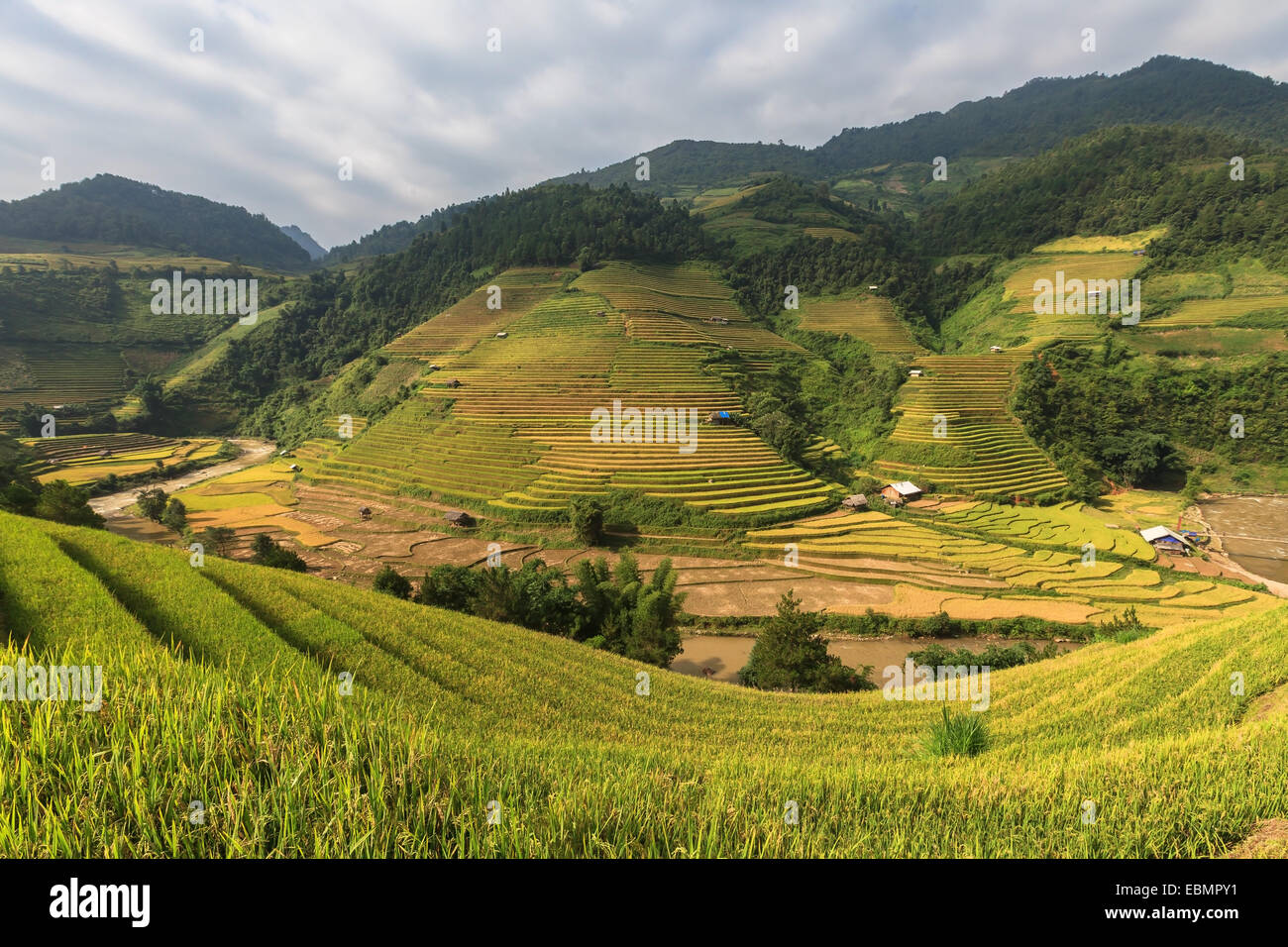 Beautiful Rice Terraces, South East Asia Stock Photo - Alamy