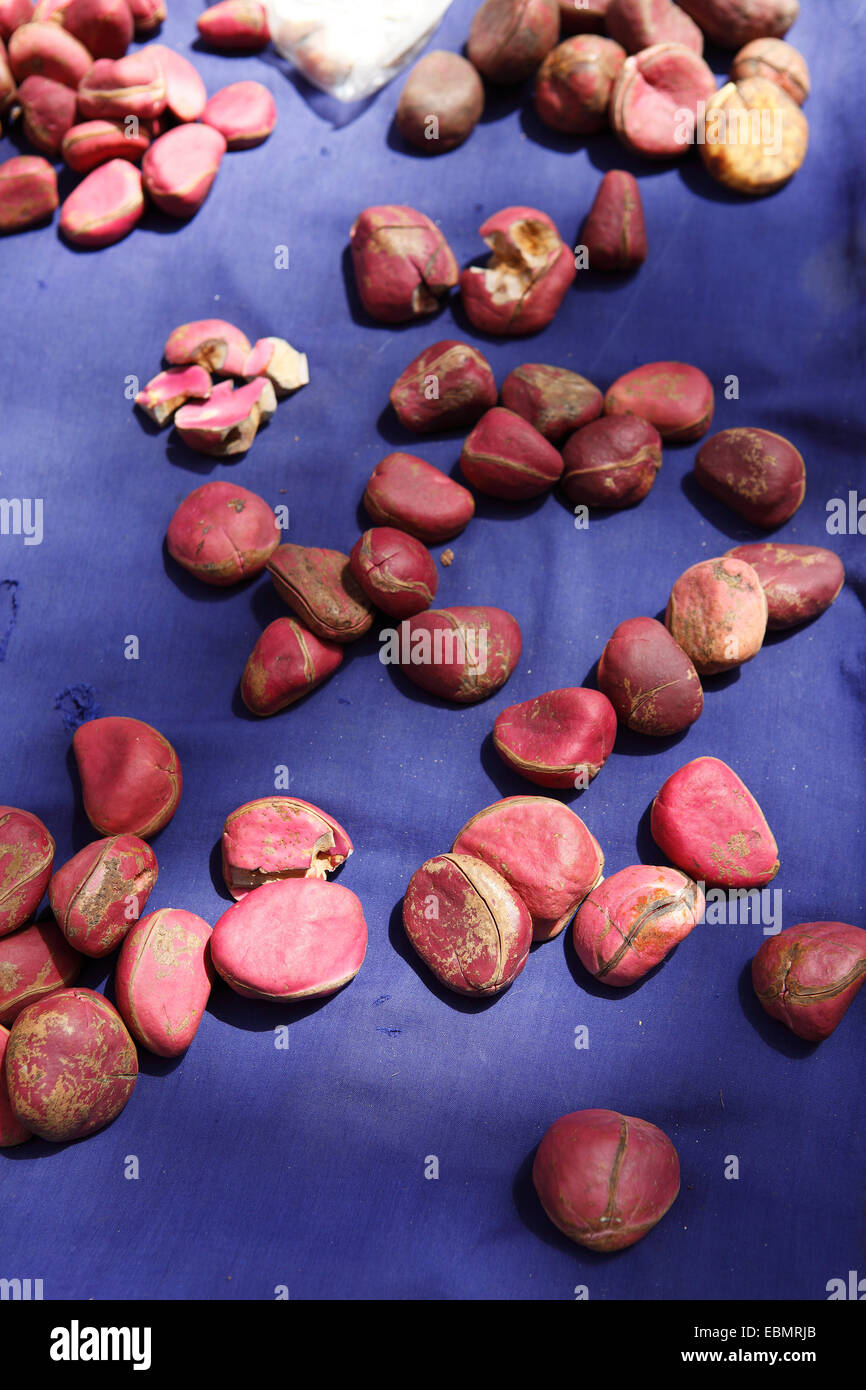 Kola nuts for sale at a market, Tourou, Far North, Cameroon Stock Photo