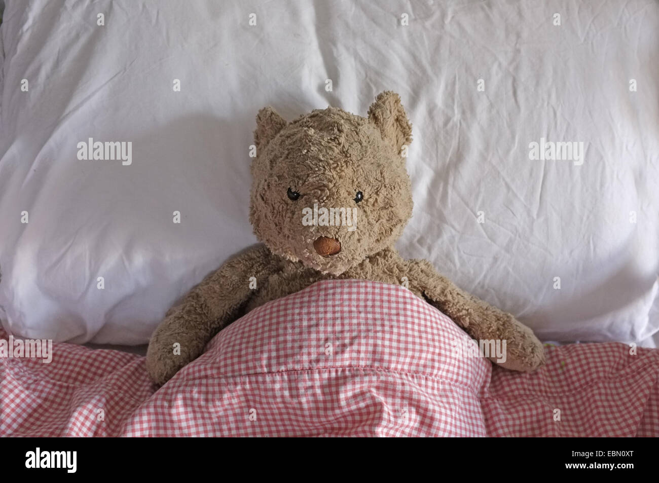 A teddy bear in a young childs bed Stock Photo