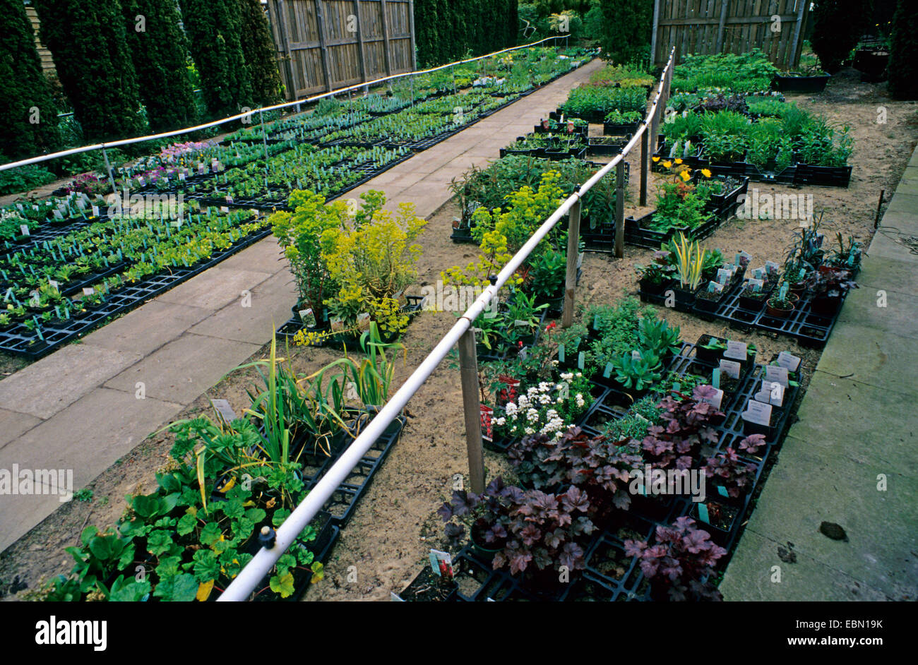 market garden in North Germany, Germany Stock Photo