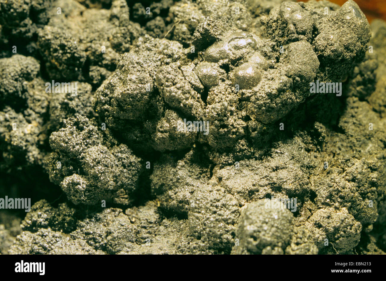 manganese nodules from deep-sea Stock Photo