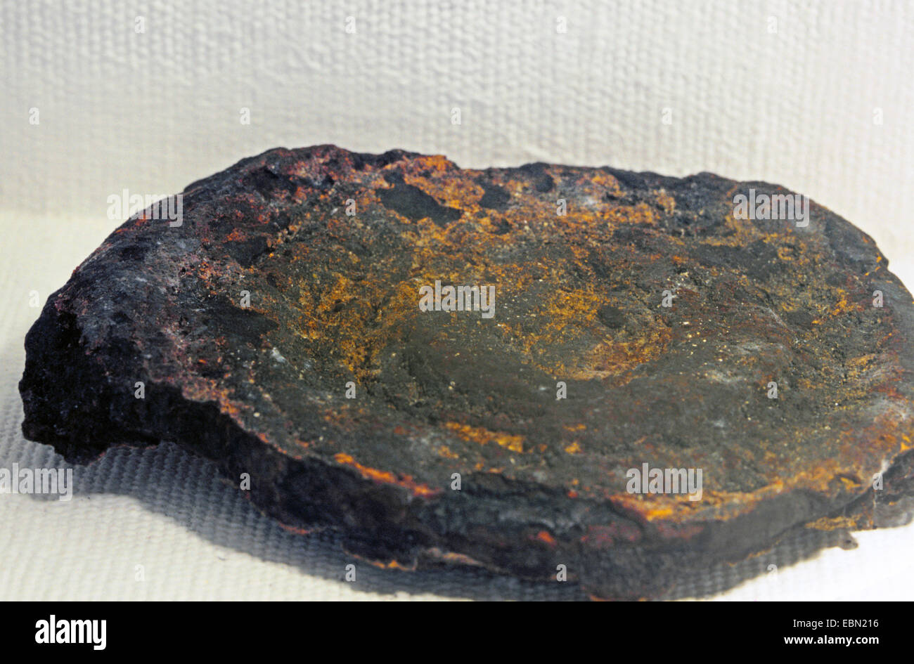 manganese nodule and crest, USA, Virginia Stock Photo